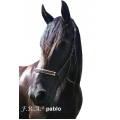 Pablo Rope Halter With Leather Nose / Head Protection